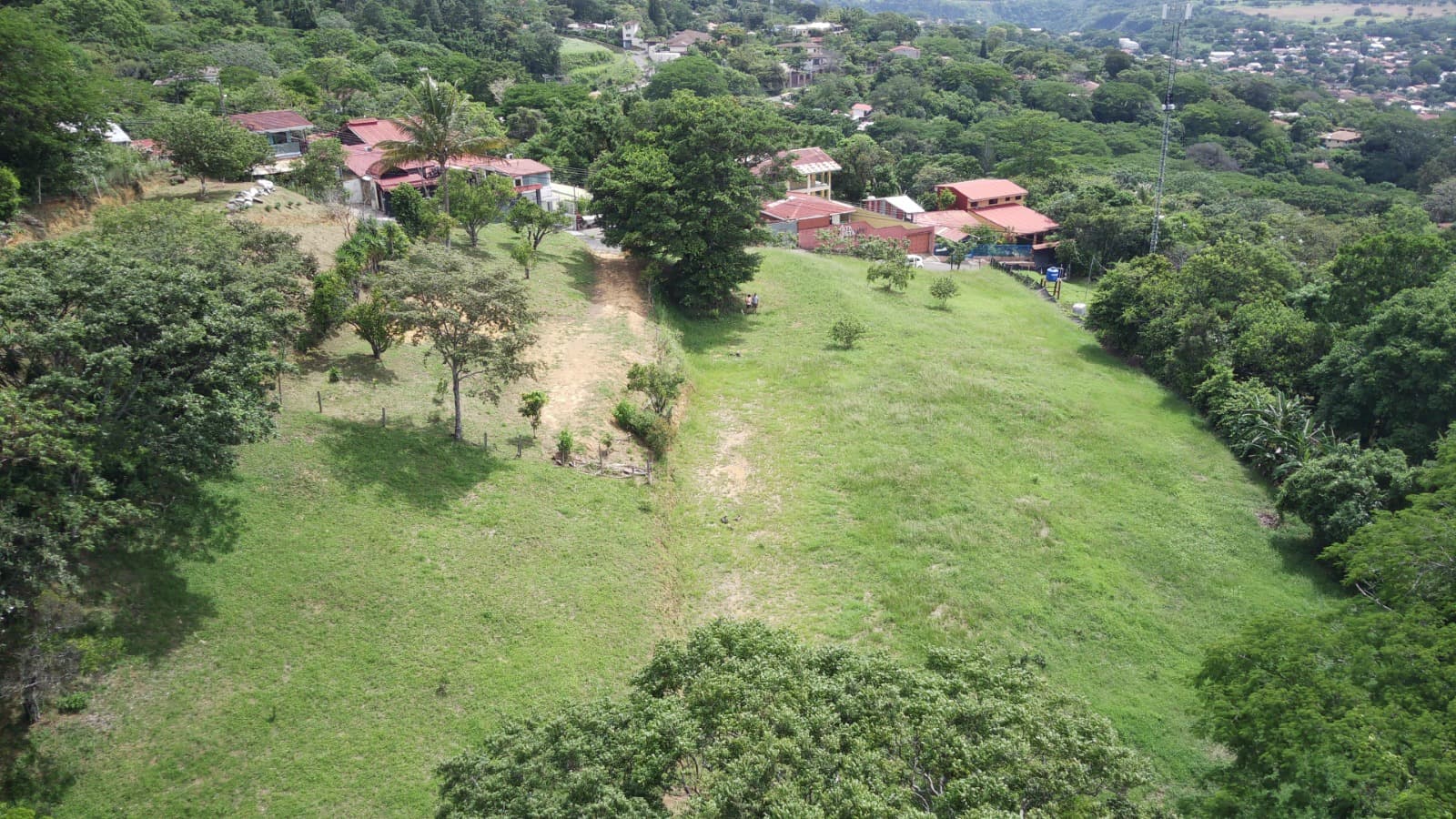 Foto 1 del lote